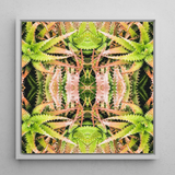 Centre Stage - Trippy Cactus Art Print / Canvas, Trippy Cactus Succulent, Cactus Succulent Art, Botanical Surrealism Meets