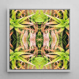 Center Stage - Trippy Cactus Art Print / Canvas Framed Square Artwork Symmetrical Kaleidoscopic Pattern Green Pinkish-aqua Succulent,