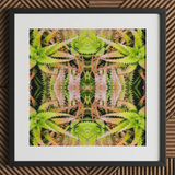 Centre Stage - Trippy Cactus Art Print / Canvas, Trippy Cactus Succulent, Cactus Succulent Art, Botanical Surrealism Meets