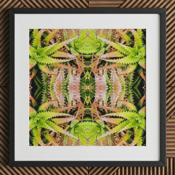 Centre Stage - Trippy Cactus Art Print / Canvas, Trippy Cactus Succulent, Cactus Succulent Art, Botanical Surrealism Meets