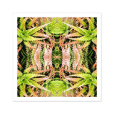 Centre Stage - Trippy Cactus Art Print / Canvas, Trippy Cactus Succulent, Cactus Succulent Art, Botanical Surrealism Meets