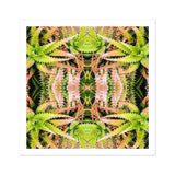 Center Stage - Trippy Cactus Art Print / Canvas Kaleidoscopic Pattern Green Peach-colored Succulent Plants Arranged Symmetrical, Botanical