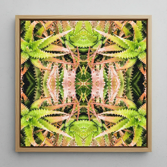 Centre Stage - Trippy Cactus Art Print / Canvas, Trippy Cactus Succulent, Cactus Succulent Art, Botanical Surrealism Meets