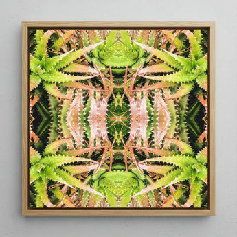 Center Stage - Trippy Cactus Art Print / Canvas Square-framed Artwork Symmetrical Kaleidoscopic Pattern Green Pinkish-aqua Aloe Succulent,