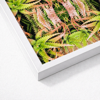 White-framed Artwork Vibrant Close-up Green Reddish-brown Succulent Leaves Trippy Cactus, Art, Botanical Surrealism Meets