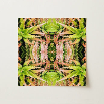 Center Stage - Trippy Cactus Art Print / Canvas Vibrant Symmetrical Artwork Mirrored Aloe Vera Leaves Shades Succulent, Botanical