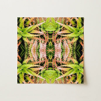 Centre Stage - Trippy Cactus Art Print / Canvas, Trippy Cactus Succulent, Cactus Succulent Art, Botanical Surrealism Meets