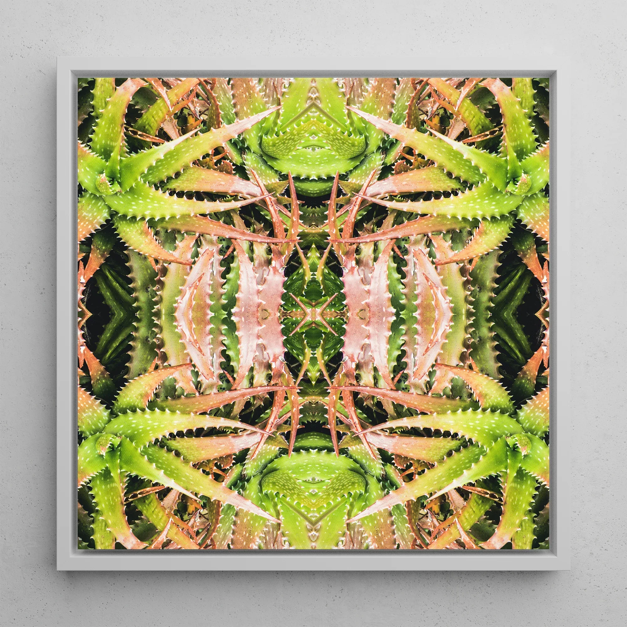 Centre Stage - Trippy Cactus Art Framed Canvas, 12x12’’ / 31x31cm / White Floating Frame, Kaleidoscopic Aloe Vera Art