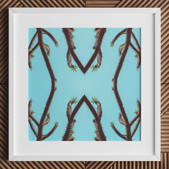 Chain Reaction - Tirage d'art de succulente psychédélique / Toile, 12x12’’ / 31x31cm / Cadre blanc / Passe-partout, Affiches, estampes et art visuel, Toby Leon