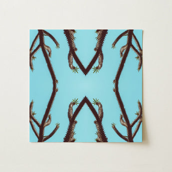 Chain Reaction - Trippy Succulent Art Print / Canvas, 12x12’’ / 31x31cm / Unframed / no Border, Posters Prints & Visual Artwork, Toby Leon