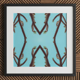 Chain Reaction - Trippy Succulent Art Print / Canvas Black-framed Artwork Symmetrical Pattern Dark Brown Spiky Cactus, Psychedelic Desert