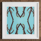Chain Reaction - Trippy Succulent Art Print / Canvas Framed Artwork Symmetrical Pattern Dark Brown Spiky Cactus, Psychedelic Desert Oasis,
