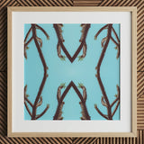 Chain Reaction - Trippy Succulent Art Print / Canvas Framed Artwork Symmetrical Pattern Dark Brown Spiky Cactus, Psychedelic Desert Oasis,
