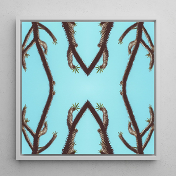 Chain Reaction - Trippy Succulent Art Print / Canvas, Trippy Cactus Succulent, Psychedelic Desert Oasis, Mesmerizing World
