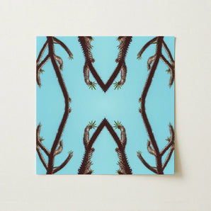 Chain Reaction - Trippy Succulent Art Print / Canvas Square Symmetrical Mirrored Pattern Dark Brown Cactus, Psychedelic Desert Oasis,