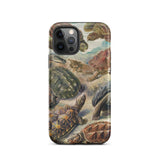 Chelonia Turtles - Ernst Haeckel Custodia Iphone, 12 Pro / Opaca, Custodie per Telefono Cellulare, Toby Leon