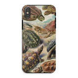 Chelonia Turtles - Ernst Haeckel Custodia Iphone, Xs / Opaca, Custodie per Telefono Cellulare, Toby Leon
