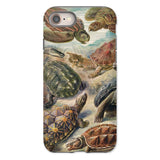 Chelonia Turtles - Ernst Haeckel Phone Case Iphone 8 / Matte Turtle-themed Phone Case Chelonia Turtles, Haeckel Iphone Case, Fractures Time