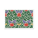 Illustration botanique chinoise - Tirage d’art Owen Jones / Toile, 17x12’’ / A3 / Sans cadre / Bordure blanche, Posters Prints & Visual Artwork,