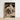 Framed Black-and-white Woodcut Print Detailed Owl Perched Amidst Hoytema Art, Snow Settles, Christmas Eve
