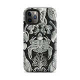 Cirripedia Barnacles - Ernst Haeckel iPhone-Hülle, 11 Pro / Matt, Handyhüllen, Toby Leon