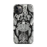 Cirripedia Barnacles - Ernst Haeckel iPhone-Hülle, 11 Pro Max / Matt, Handyhüllen, Toby Leon