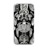 Cirripedia Barnacles - Ernst Haeckel iPhone-Hülle, Xs Max / Matt, Handyhüllen, Toby Leon