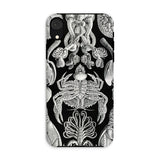 Cirripedia Barnacles - Ernst Haeckel Phone Case Iphone Xr / Matte Black Phone Case White Sea Creature Illustrations Obsidians Chamber,