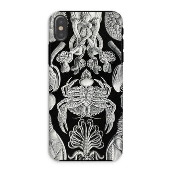Cirripedia Barnacles - Ernst Haeckel Phone Case Iphone Xs / Matte Black Phone Case White Sea Creature Pattern Obsidians Chamber, Haeckel