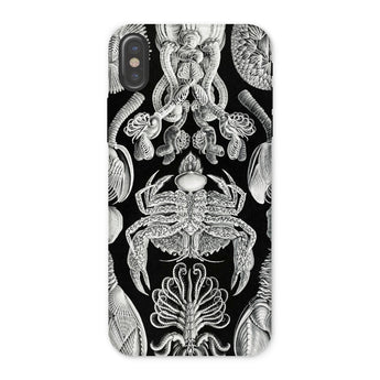 Cirripedia Barnacles - Ernst Haeckel Phone Case Iphone x / Matte Black White Sea Creature Phone Case Obsidians Chamber, Haeckel Iphone