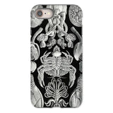 Cirripedia Barnacles - Ernst Haeckel Phone Case Iphone 8 / Matte Black White Sea Creature Phone Case Obsidians Chamber, Haeckel Iphone