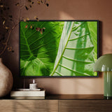 Clash of the Hulks - Koh Chang Botanical Framed Canvas, Framed Photograph Vibrant Green Tropical Leaves Prominent Veins