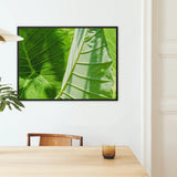 Clash of the Hulks - Koh Chang Botanical Framed Canvas, Framed Botanical Photograph Vibrant Green Tropical Leaves Prominent