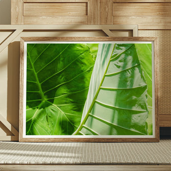 Clash of the Hulks - Koh Chang Botanicals Art Print / Canvas Framed Photographic Close-up Vibrant Green Tropical Leaves Chang’s Lush