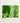 Rectangular Canvas Print Close-up Vibrant Green Tropical Leaves Koh Chang’s Lush Botanical Paradise, Chang Botanicals, Thailand