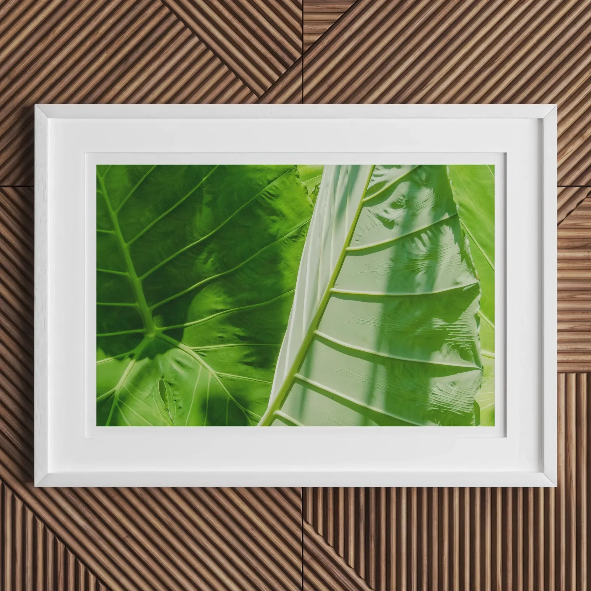 Clash of the Hulks Koh Chang Botanicals Art Print, Framed Photograph Vibrant Green Tropical Leaves Prominent Veins