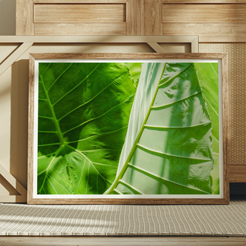 Clash of the Hulks - Koh Chang Botanicals Kunstdruck / Leinwand, Poster-Drucke & visuelle Kunstwerke, Toby Leon