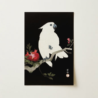 White Cockatoo Perched Branch Red Pomegranates Rendered Traditional Ohara Koson, Art Print, Chalk-white Mid-squawk, Slate-blue Beak Open,
