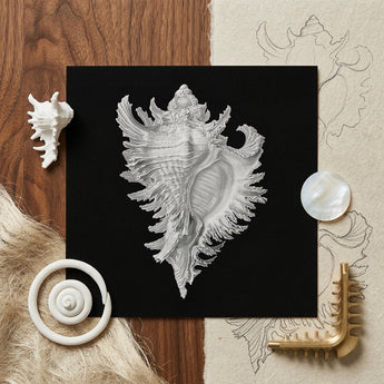 Cockle Shell - Ernst Haeckel Sea Life Art Print / Canvas Detailed Silver-toned Print Conch Shell Black Paper Surrounded Ernst Haeckel Sea,