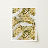 Colombes et Lis - Maurice Pillard Verneuil Art Print / Canvas Framed White Doves Flight Amidst Pattern, Nouveau Home Décor, Captivating