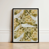 Framed Art Print White Doves Flight Amidst Pattern Pillard Verneuil, Nouveau Home Décor, Captivating Colombes