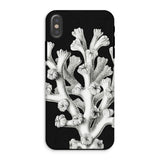 Coral - Illustrazione di Vita Marina di Ernst Haeckel Custodia Iphone, Xs / Opaca, Custodie per Cellulari, Toby Leon