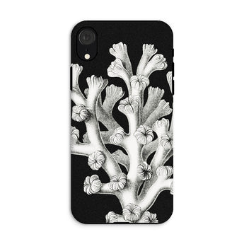 Coral - Ernst Haeckel Marine Life Illustration Phone Case Iphone Xr / Matte Black Phone Case Coral Design Ernst Haeckel, Haeckel’s