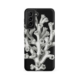 Coral - Ernst Haeckel Marine Life Illustration Phone Case Samsung Galaxy S21 Fe / Matte Black Phone Case Detailed White Botanical