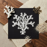 Coral - Ernst Haeckel Ocean Life Art Print / Canvas Black Illustration Intricate White Line Haeckel’s Oceanic, Portfolio, Prints