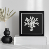 Coral - Ernst Haeckel Ocean Life Art Print / Canvas Framed Black White Artwork Coral-like Structure Ernst Haeckel’s Oceanic, Oceanic