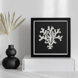 Coral - Ernst Haeckel Ocean Life Art Print / Canvas Framed Black White Artwork Coral-like Structure Haeckel’s Oceanic, Portfolio, Prints