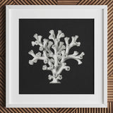 Coral - Ernst Haeckel Ocean Life Art Print / Canvas White-framed Artwork Detailed Black-and-white Illustration Dark Background Haeckel’s