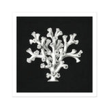 Coral - Ernst Haeckel Ocean Life Art Print / Canvas White Specimen Tree-like Structure Haeckel’s Oceanic, Portfolio, Prints