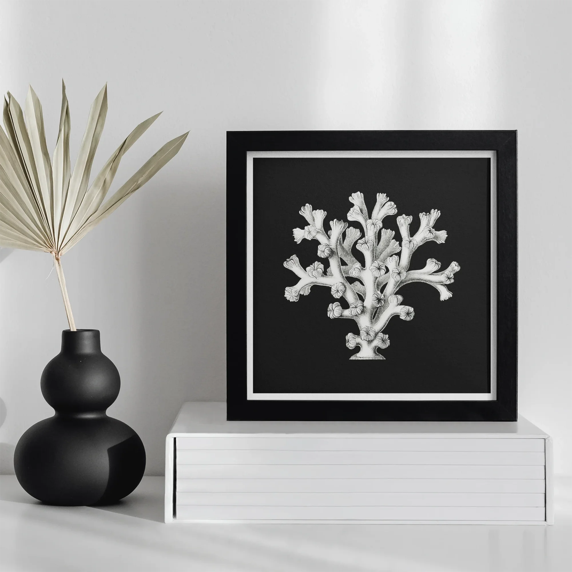 Coral - Ernst Haeckel Ocean Life Art Print, Framed Black White Artwork Coral-like Structure